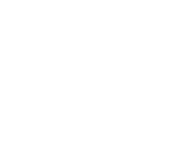 TÉCNICO DEPORTIVO FÚTBOL SALA