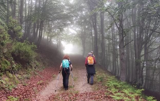 Técnico en Sistemas Microinformáticos y Redes